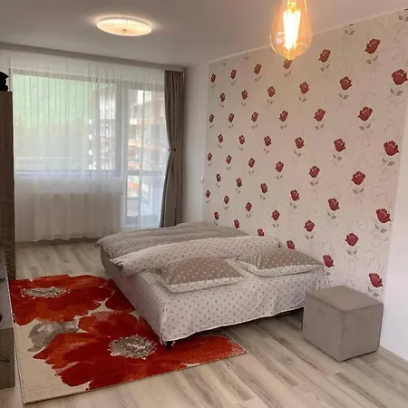 Apartament Mara Sinaia Exterior photo
