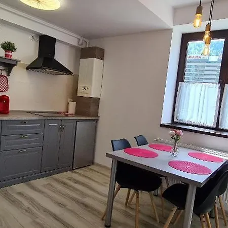 Apartament Mara Sinaia Exterior photo