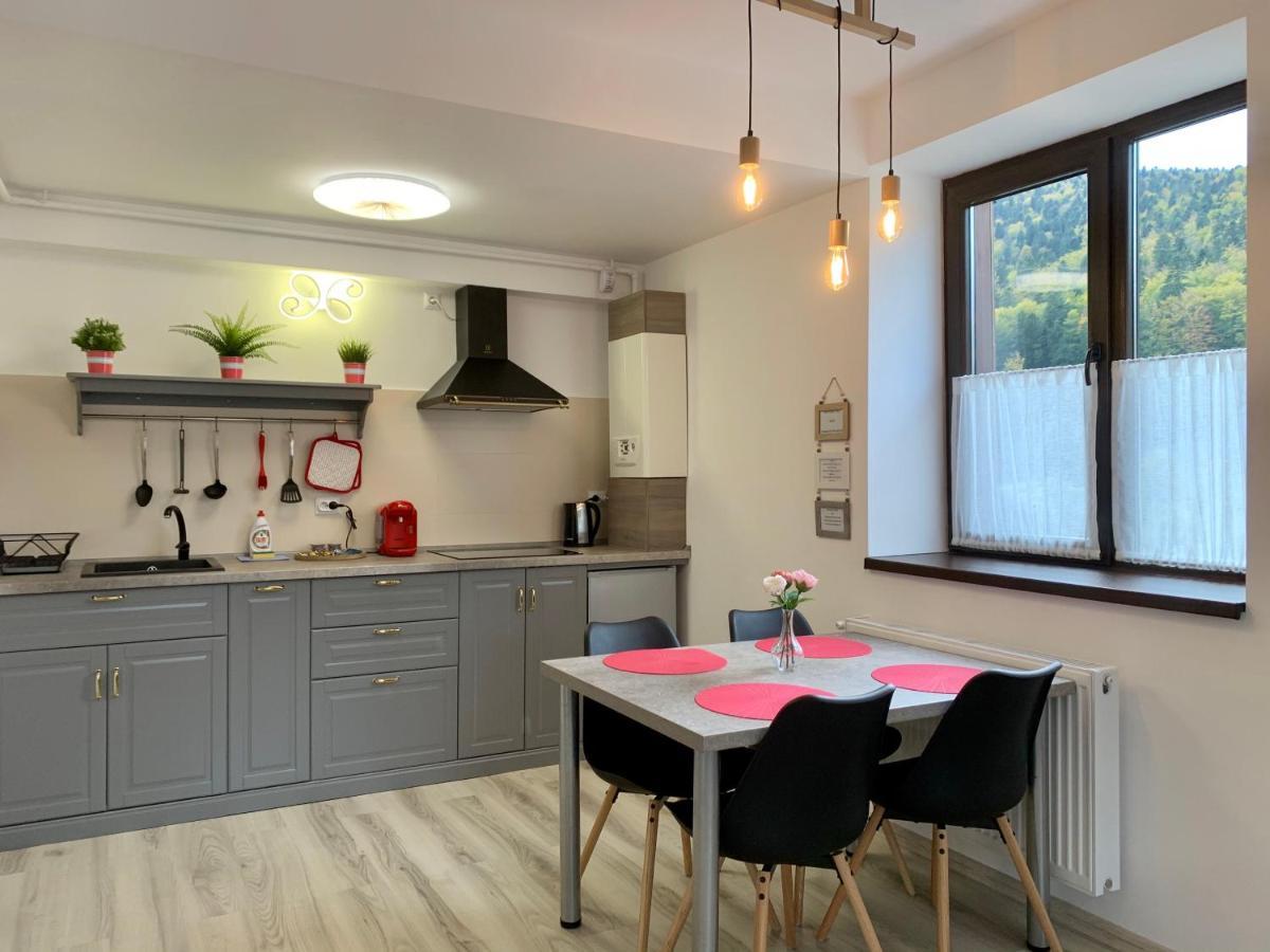 Apartment Mara Sinaia