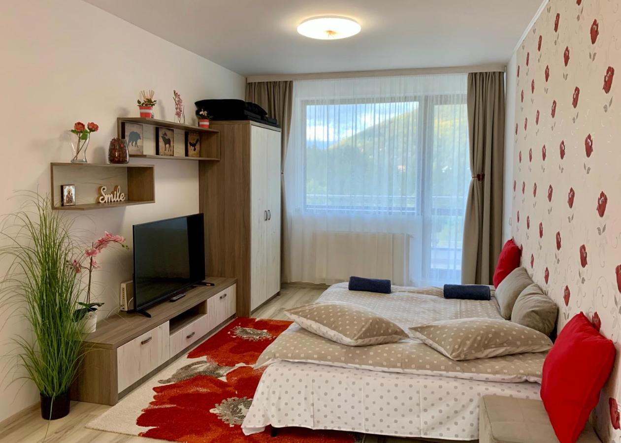 Apartment Mara Sinaia