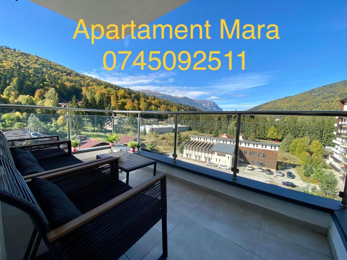 Apartment Mara Sinaia